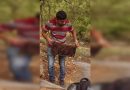 अंगावर उठणार्या पित्ताच्या गाठी पडतात, परागकणांची संख्या डुबकी मारते आणि प्लॅन बीशिवाय शेतात संघर्ष होतो